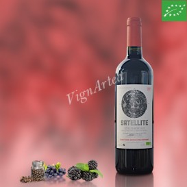 SATELLITE ROUGE 2017 (Satellite Wines - Olivier TECHER)