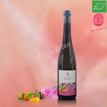 LA VIGNE EN ROSE 2020 (Vignoble du Rêveur)