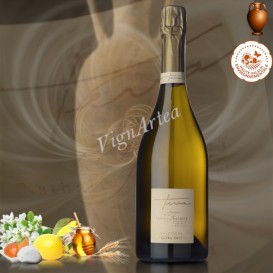 CHAMPAGNE TERRA (Champagne Nathalie FALMET)