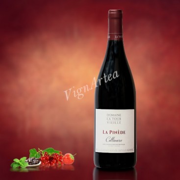 PUIG AMBEILLE 2012 (Domaine de la Tour Vieille)