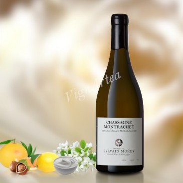 CHASSAGNE-MONTRACHET Blanc 2020 (Domaine Sylvain Morey)