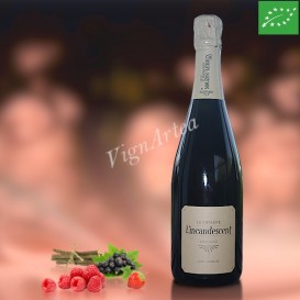 L'INCANDESCENT (Champagne MOUZON-LEROUX)