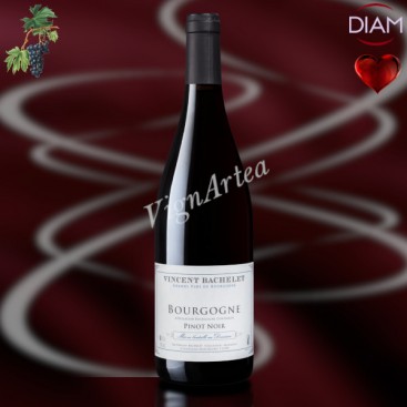 BOURGOGNE PINOT NOIR 2023 (Vincent BACHELET)