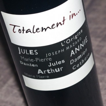 TOTALEMENT IN 2022 (Domaine Serres-Mazard) - RED WINE