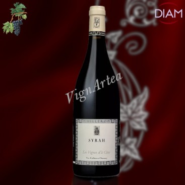 SYRAH LES VIGNES D'À CÔTÉ 2022 (Yves CUILLERON)