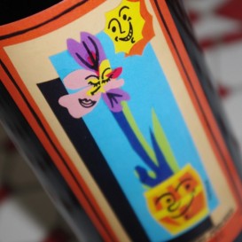 CUVÉE PAYS CATHARE 2020 (Domaine Serres-Mazard)