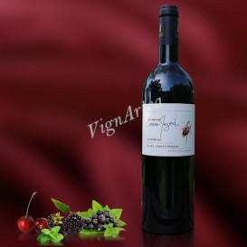 CUVÉE JOSEPH MAZARD 2018 (Domaine Serres-Mazard)