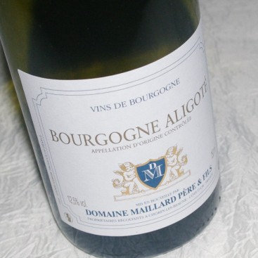 BOURGOGNE ALIGOTÉ 2023 (Domaine Maillard)