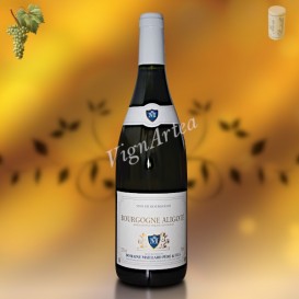 BOURGOGNE ALIGOTÉ 2023 (Domaine Maillard)