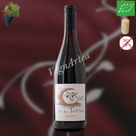 LE CROC DE LA TERRE 2023 (Domaine de Rome / Famille BAUDRY)