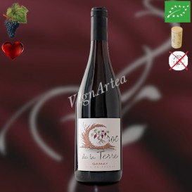 LE CROC DE LA TERRE 2023 (Domaine de Rome / Famille BAUDRY)