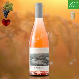 PANORAMA ROSÉ WINE 2024 (Sylvain MOREY)