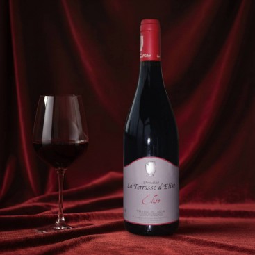 ÉLISE 2019 (Domaine La Terrasse d'Élise)