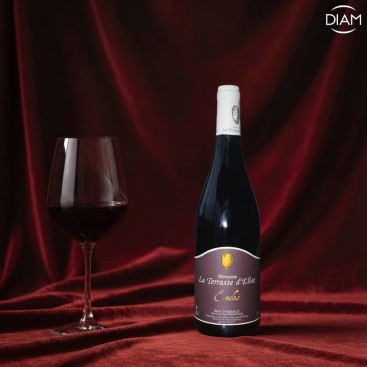 ENCLOS 2023 (Domaine La Terrasse d'Élise)