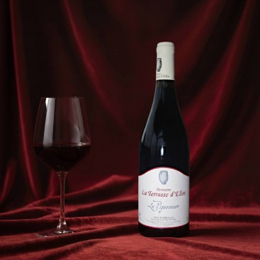 LE PIGEONNIER 2023 (Domaine La Terrasse d'Élise)