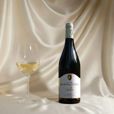 CUVEE SICLENE 2021 (Domaine La Terrasse d'Elise)