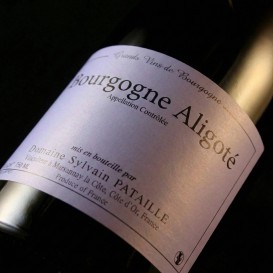 BOURGOGNE ALIGOTÉ 2021 (Domaine Sylvain PATAILLE)