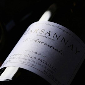 L'ANCESTRALE 2022 (Domaine Sylvain PATAILLE)