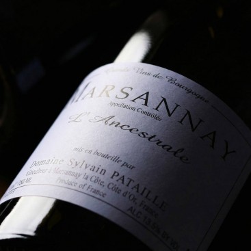 L'ANCESTRALE 2022 (Domaine Sylvain PATAILLE)