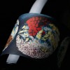 UN INSTANT SUR TERRE 2020 (Vignoble du Rêveur)
