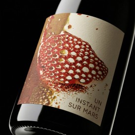 UN INSTANT SUR MARS 2020 (Vignoble du Rêveur)