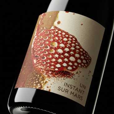UN INSTANT SUR MARS 2020 (Vignoble du Rêveur)