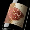 UN INSTANT SUR MARS 2020 (Vignoble du Rêveur)