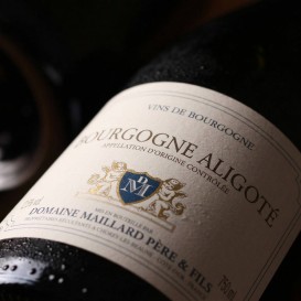 BOURGOGNE ALIGOTÉ 2023 (Domaine Maillard)