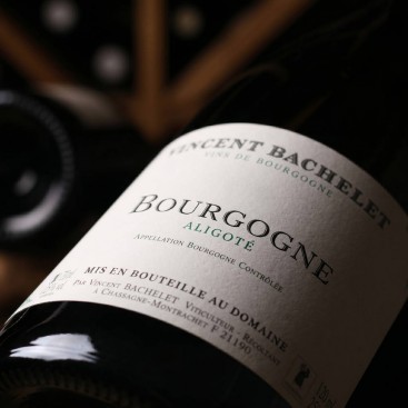 BOURGOGNE ALIGOTÉ 2022 (Vincent BACHELET)