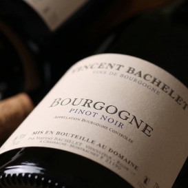 BOURGOGNE PINOT NOIR 2023 (Vincent BACHELET)