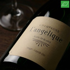 L'ANGELIQUE 2017 (Champagne MOUZON-LEROUX) - 1