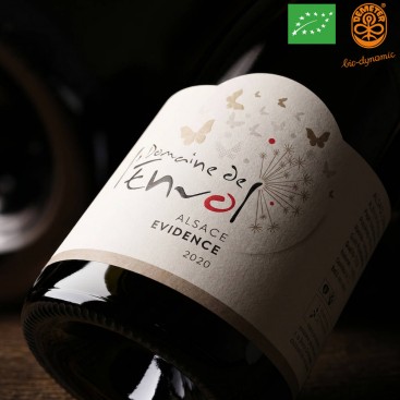 ÉVIDENCE 2020 (Domaine de l'Envol) - 1