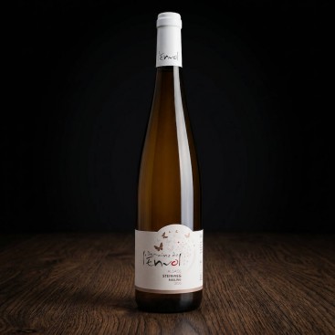 RIESLING STEINWEG 2020 (Domaine de l'Envol) - 2