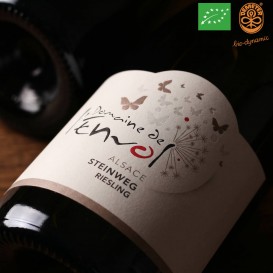 RIESLING STEINWEG 2020 (Domaine de l'Envol) - 1