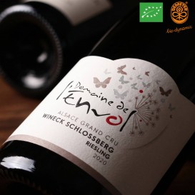 RIESLING WINECK-SCHLOSSBERG Grand Cru 2020 (Domaine de l'Envol) - 1