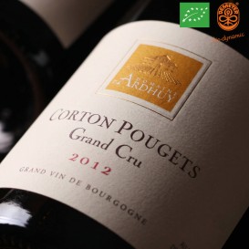 CORTON 