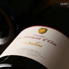 SICLÈNE 2021 (Domaine La Terrasse d'Élise) - 1