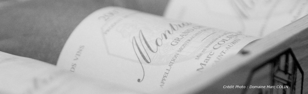 Domaine Marc COLIN - VignArtea