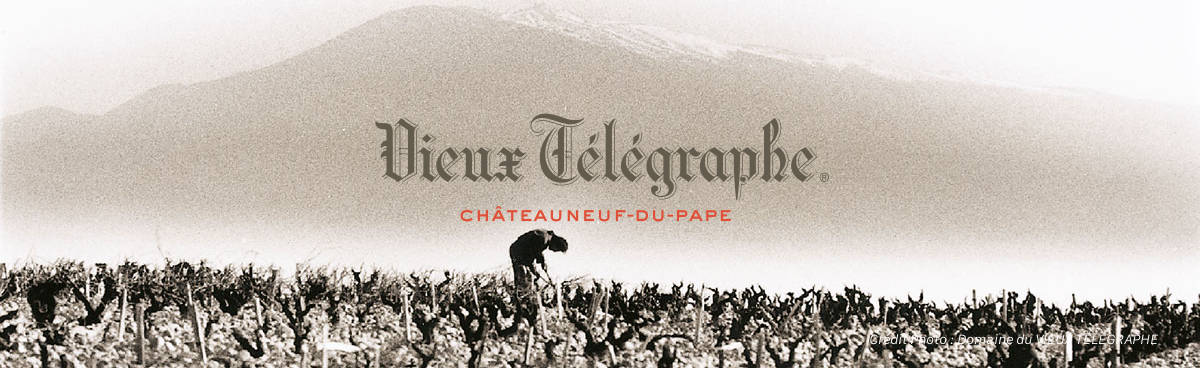 Domaine Vieux Telegraphe - VignArtea