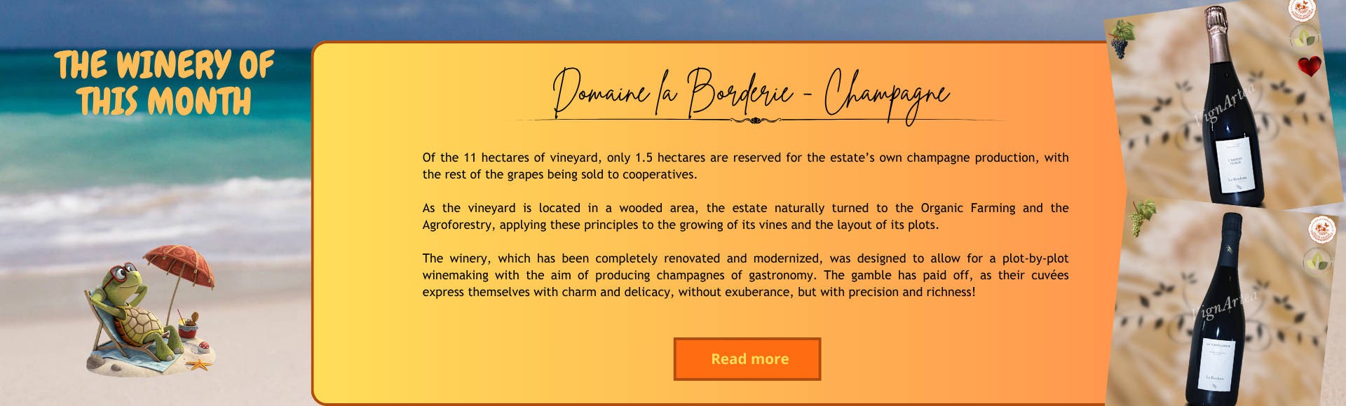Wines of the La Borderie estate