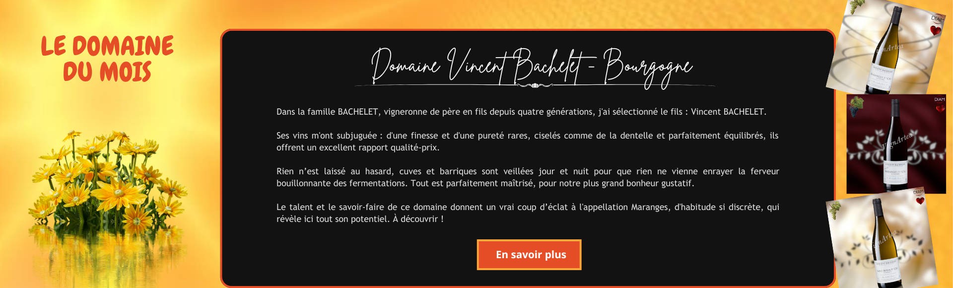 Vins du domaine Vincent BACHELET