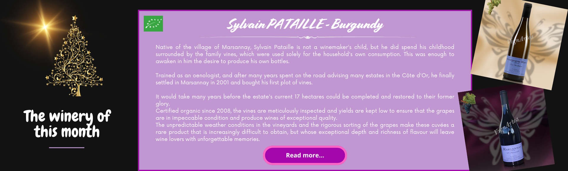 Sylvain PATAILLE estate